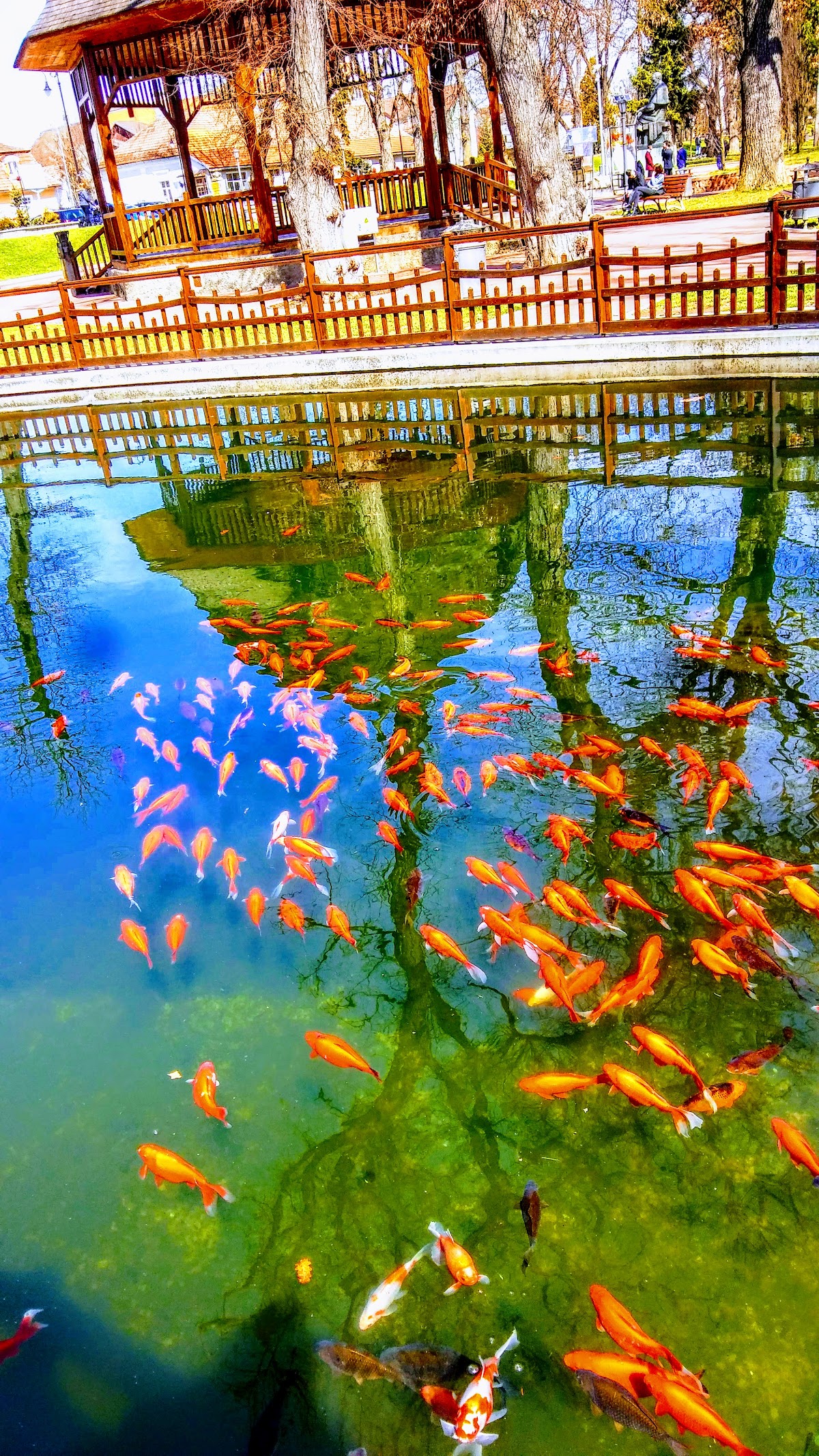 Parc Municipal „Regele Mihai I” Bistrița - foto 3