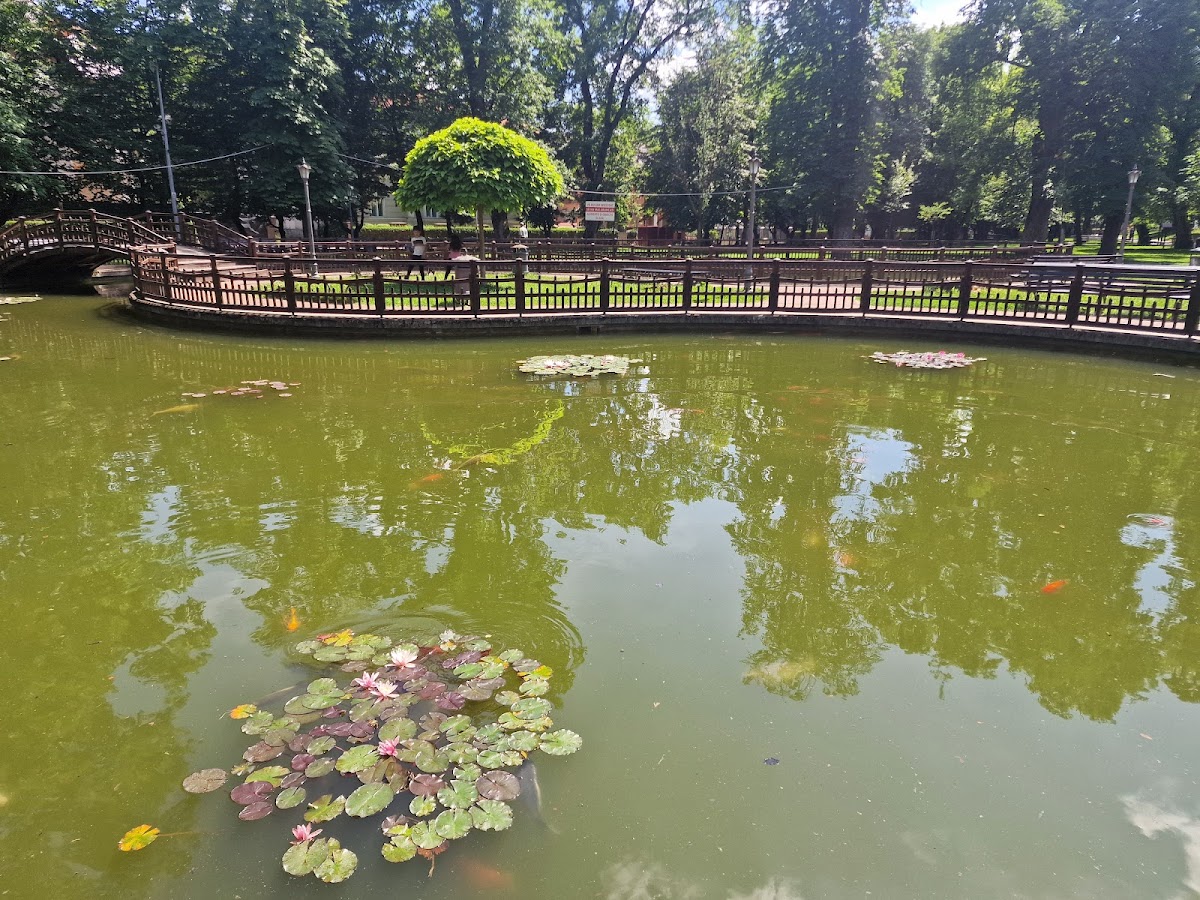 Parc Municipal „Regele Mihai I” Bistrița - foto 4