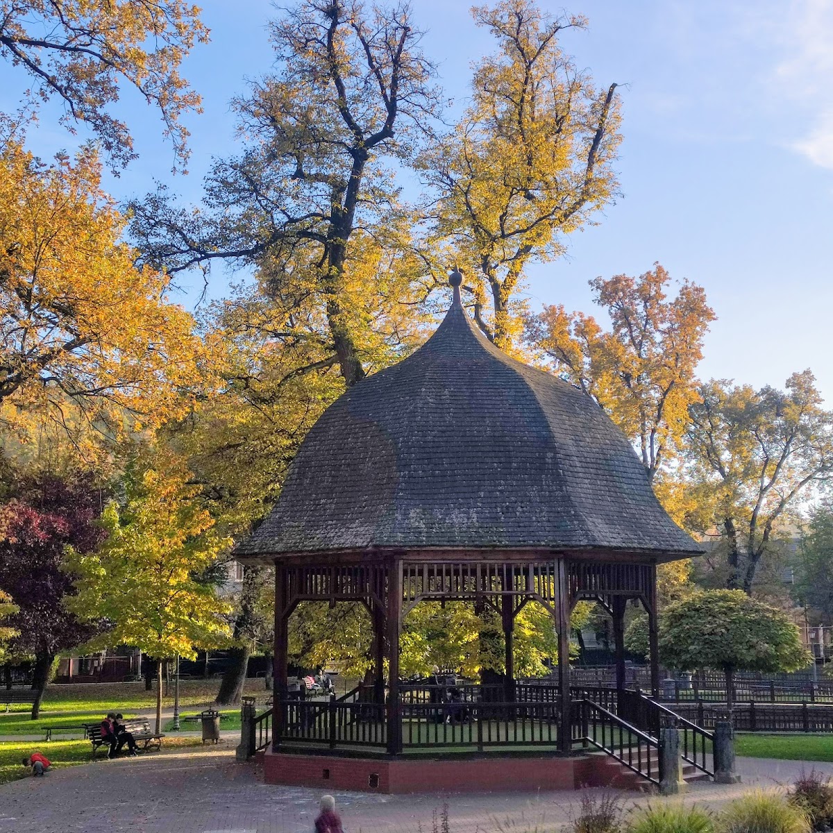 Parc Municipal „Regele Mihai I” Bistrița - foto 5