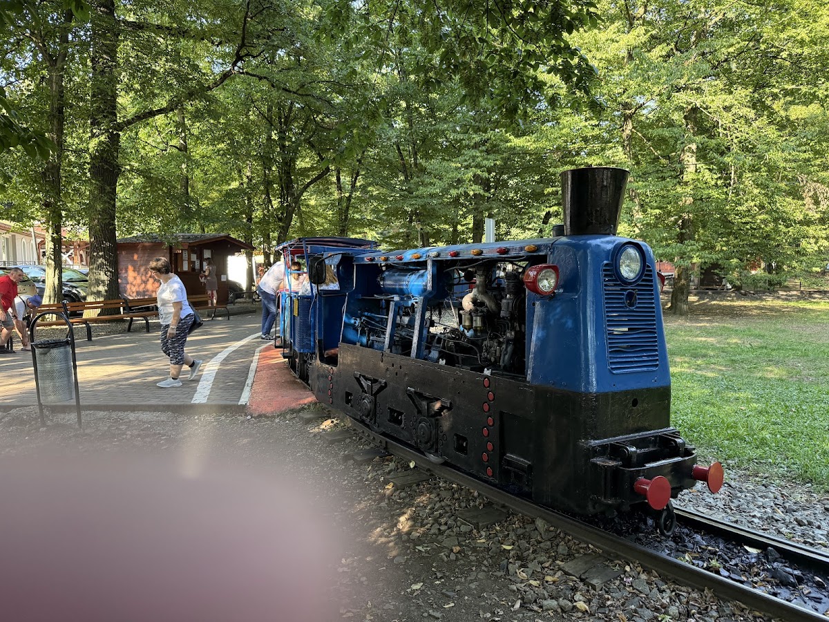 Parcul Municipal Regina Maria - foto 4