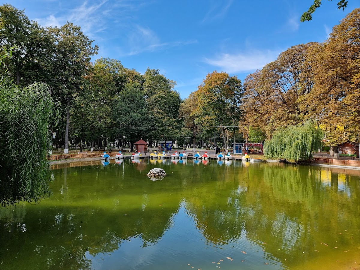 Parcul Municipal Roman - foto 1