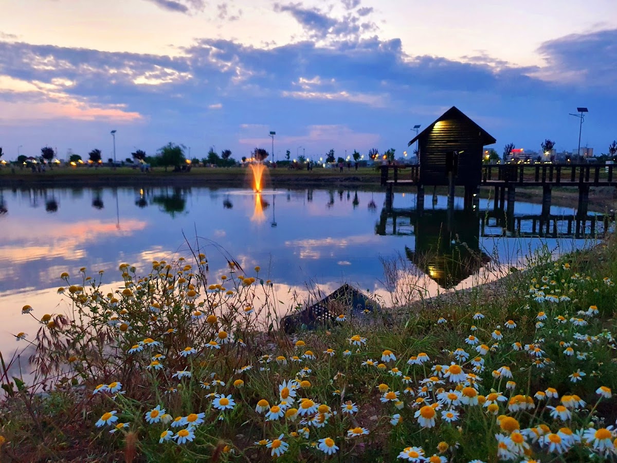 Städtischer Park West - foto 1