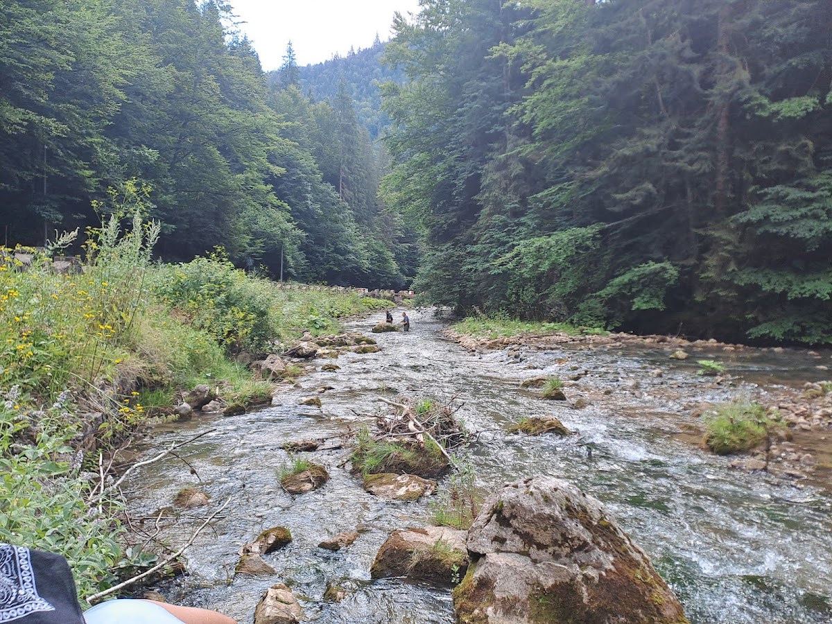 Parcul național Cheile Bicazului - foto 5