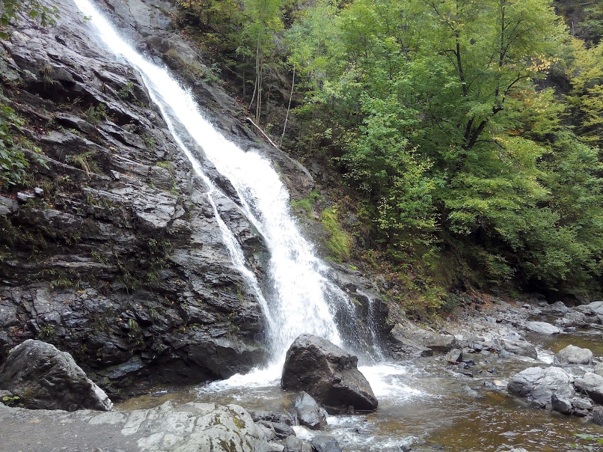 Cozia National Park