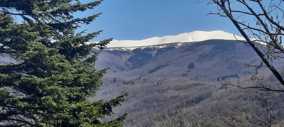 Parcul National Defileul Jiului - Centrul de Vizitare - foto 4