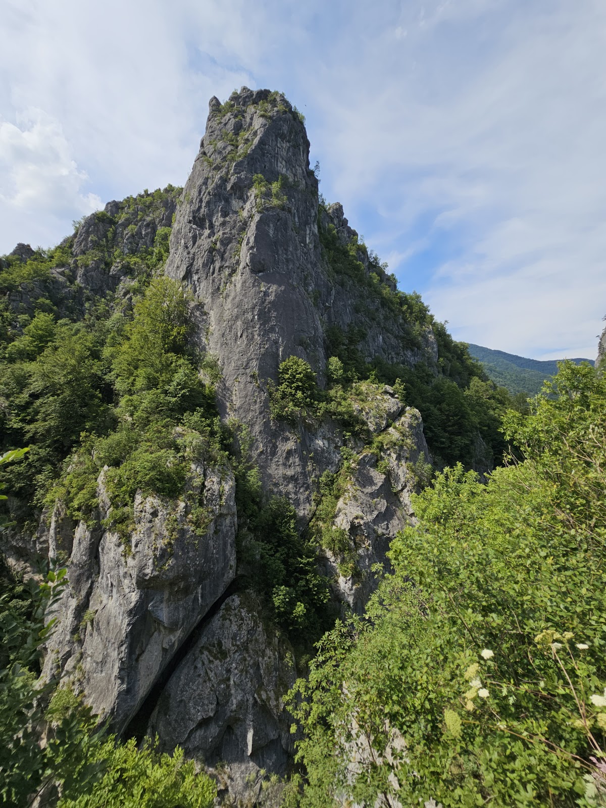 Parcul Național Domogled-Valea Cernei - foto 5