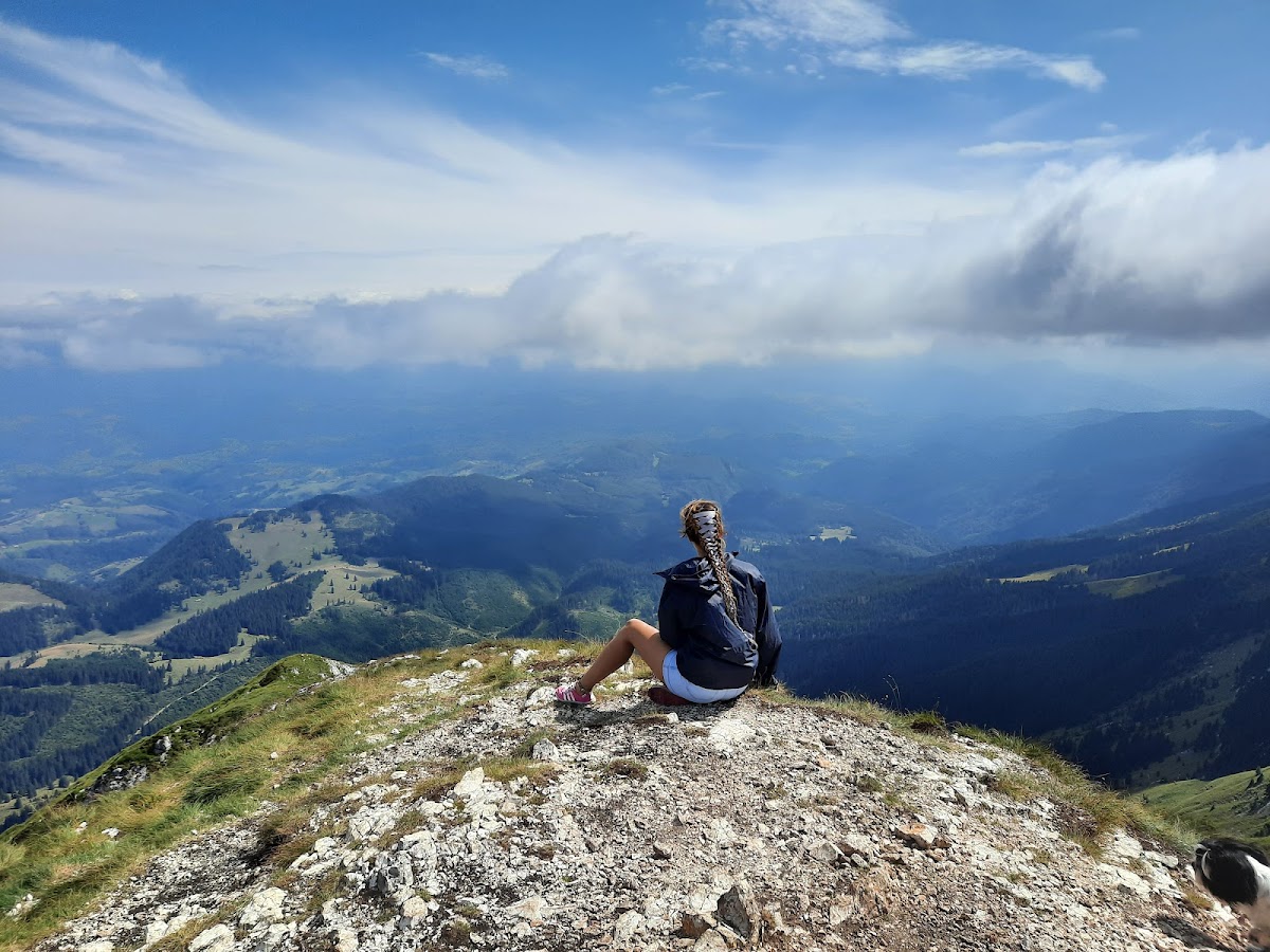 Parc National "Piatra Craiului" - foto 4
