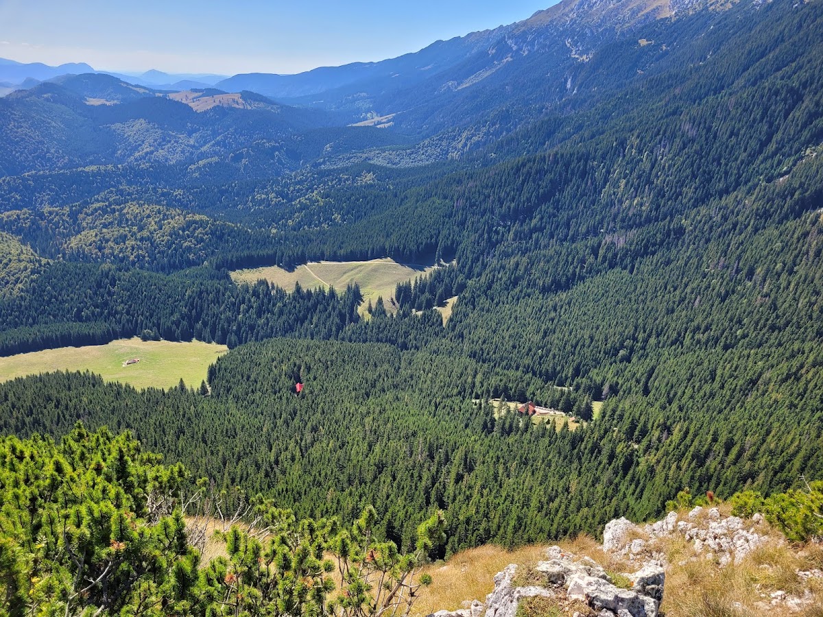 Parc National "Piatra Craiului" - foto 5