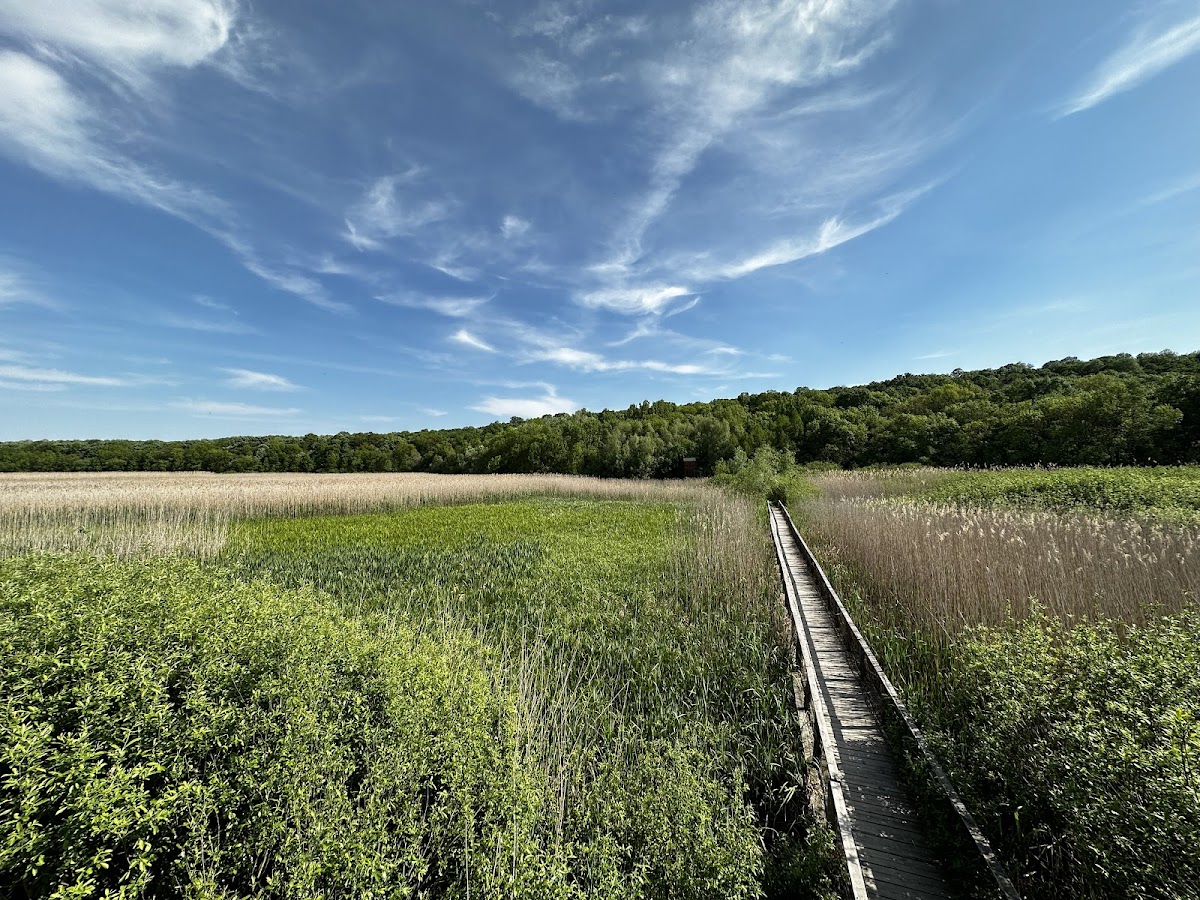 Parcul Natural Comana
