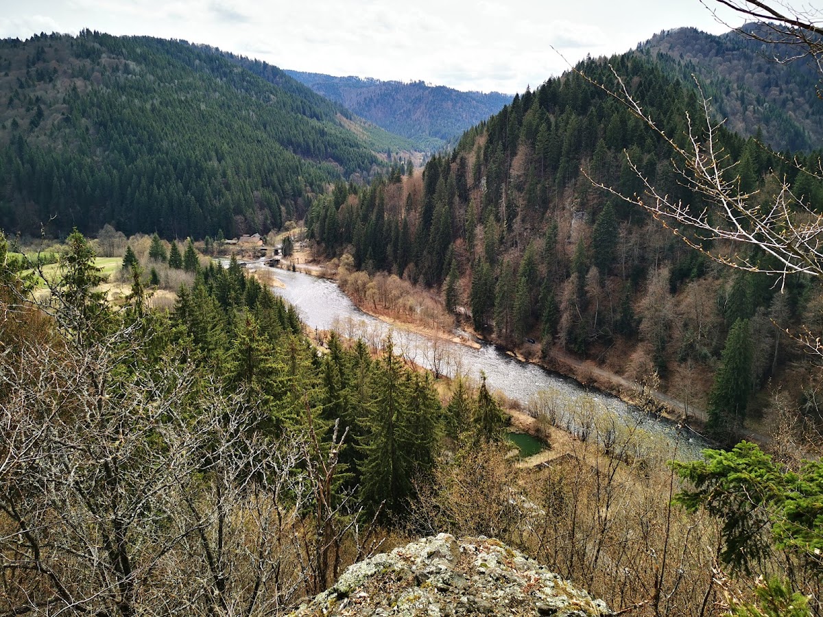 Mureș River Gorge Natural Park - foto 3