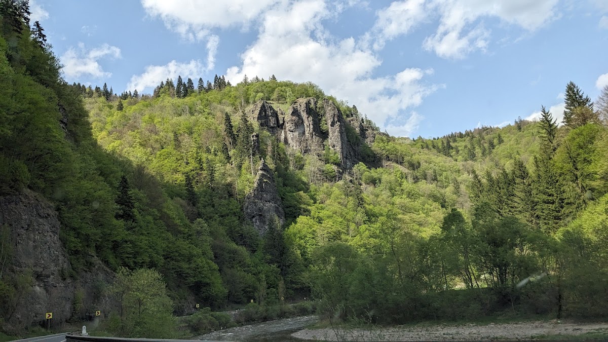 Mureș River Gorge Natural Park - foto 4