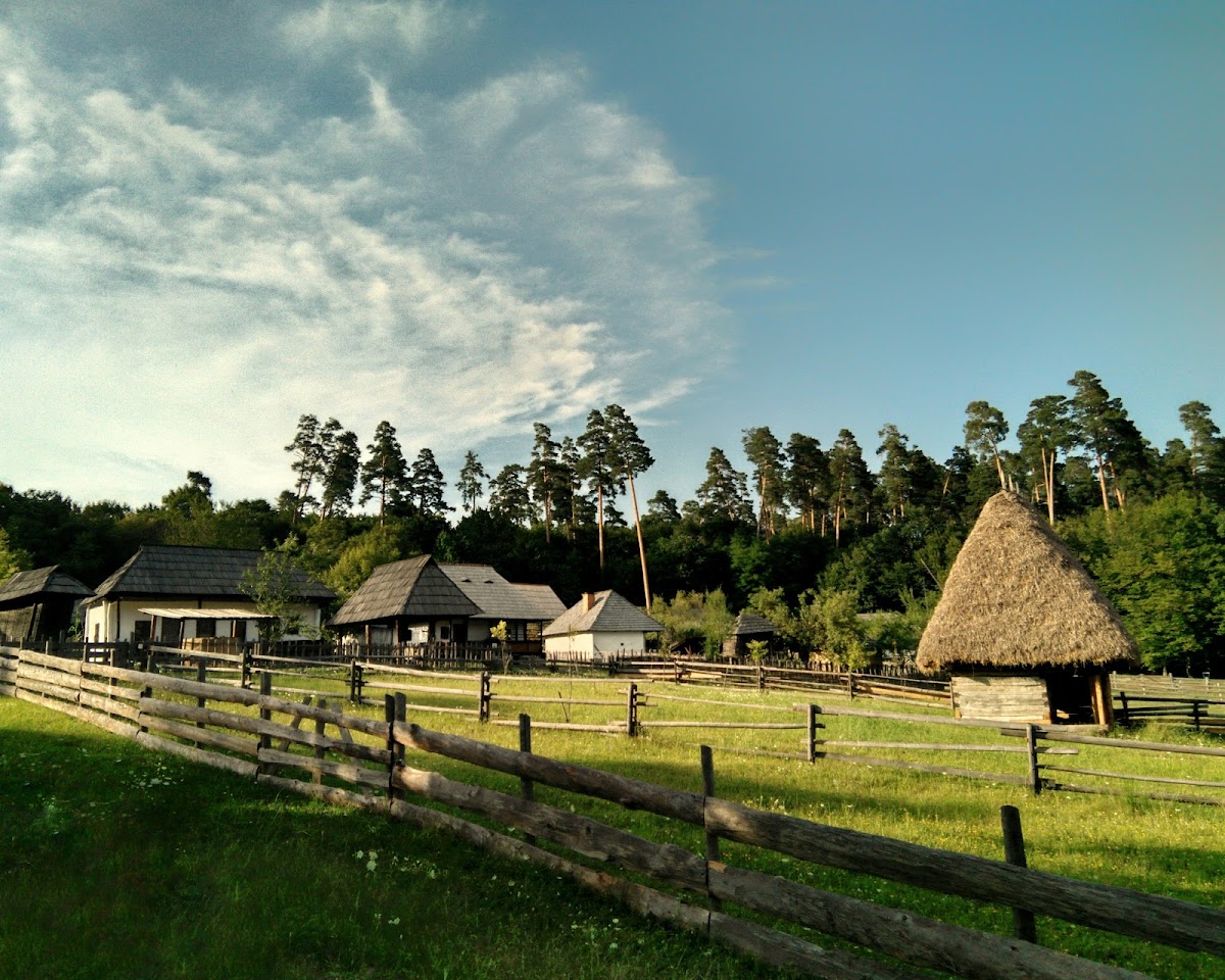 Parcul Natural Dumbrava Sibiului - foto 2