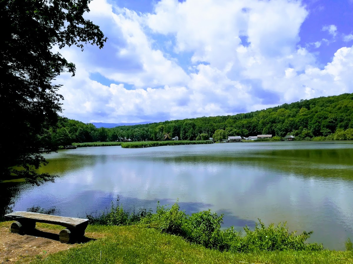 Parcul Natural Dumbrava Sibiului - foto 3