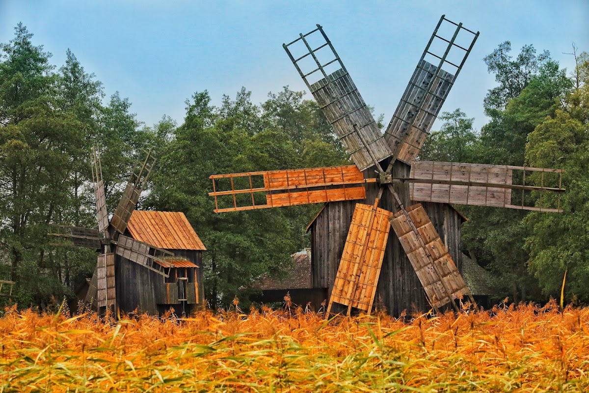 Parcul Natural Dumbrava Sibiului - foto 5