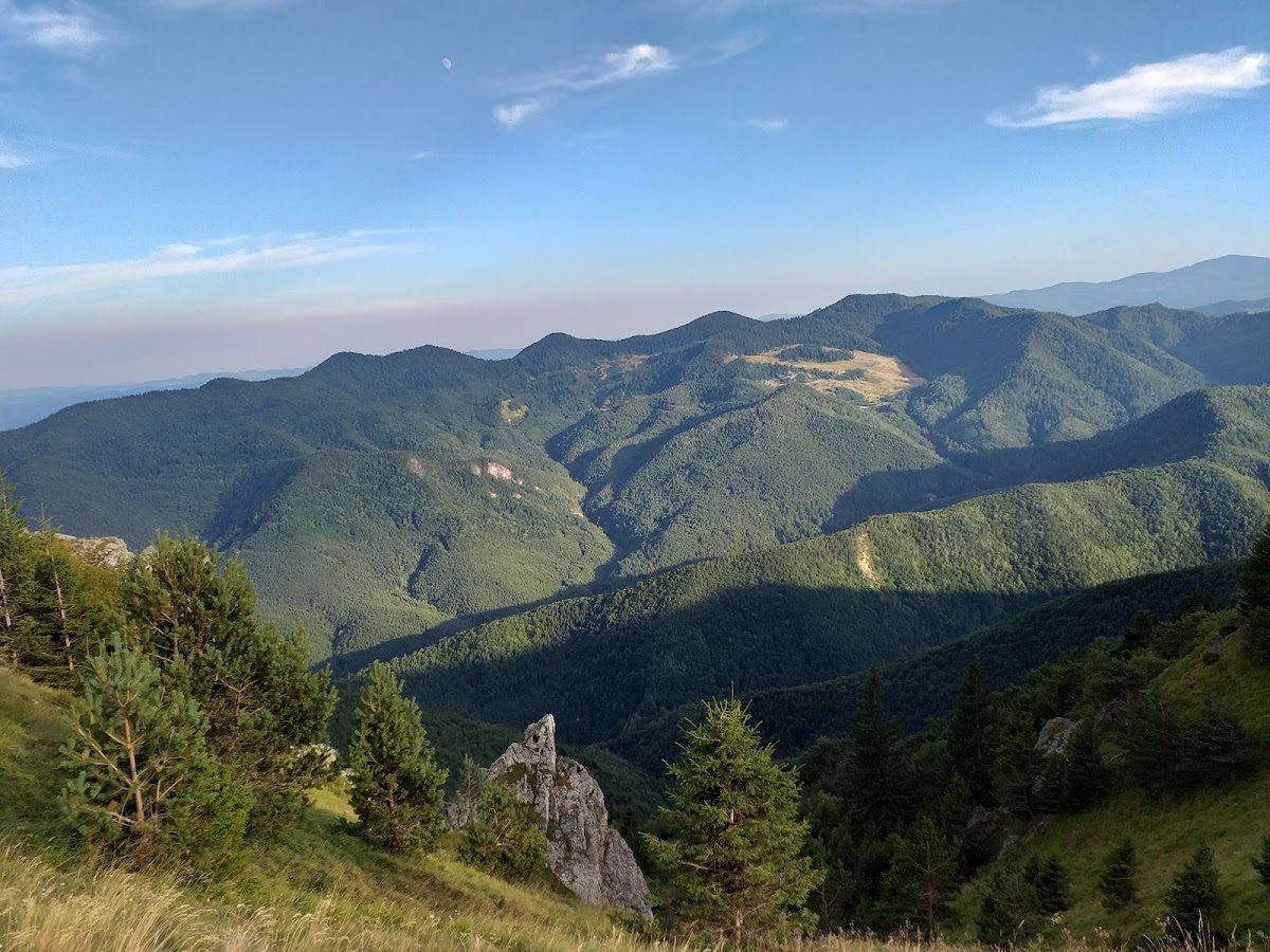 Parcul Natural Putna - Vrancea - foto 3