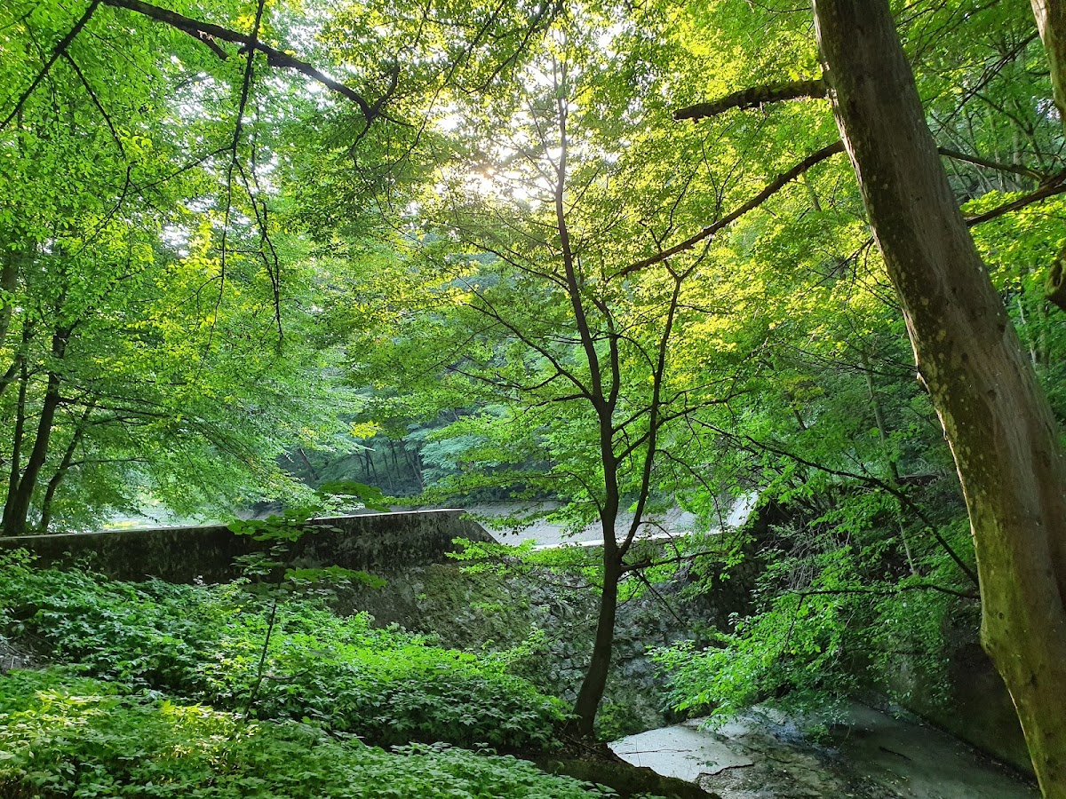 Parcul Natural Trivale - foto 2