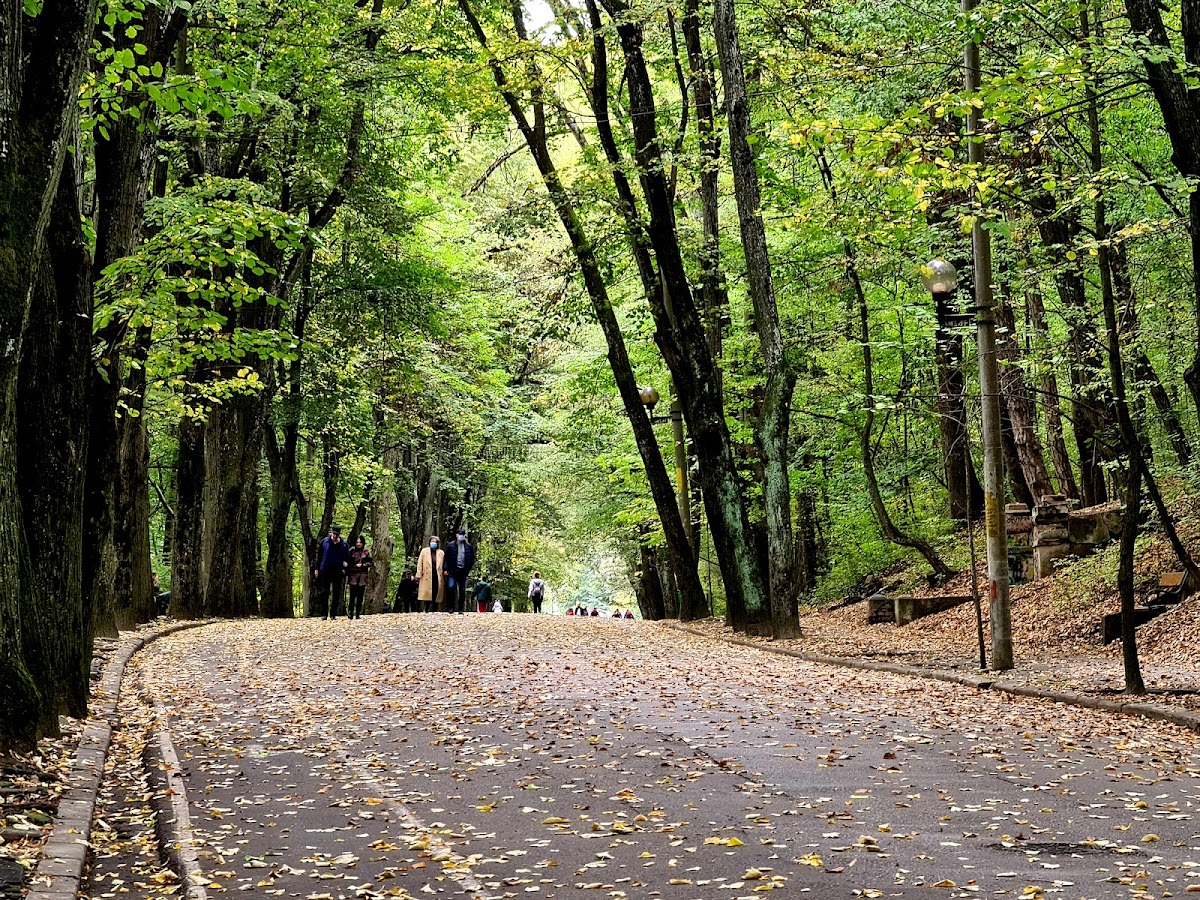 Parcul Natural Trivale - foto 3