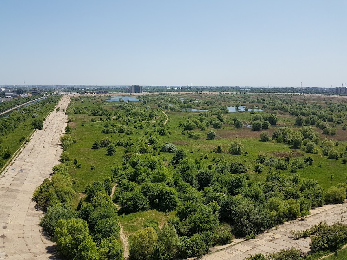 Văcărești Természetvédelmi Terület - foto 2