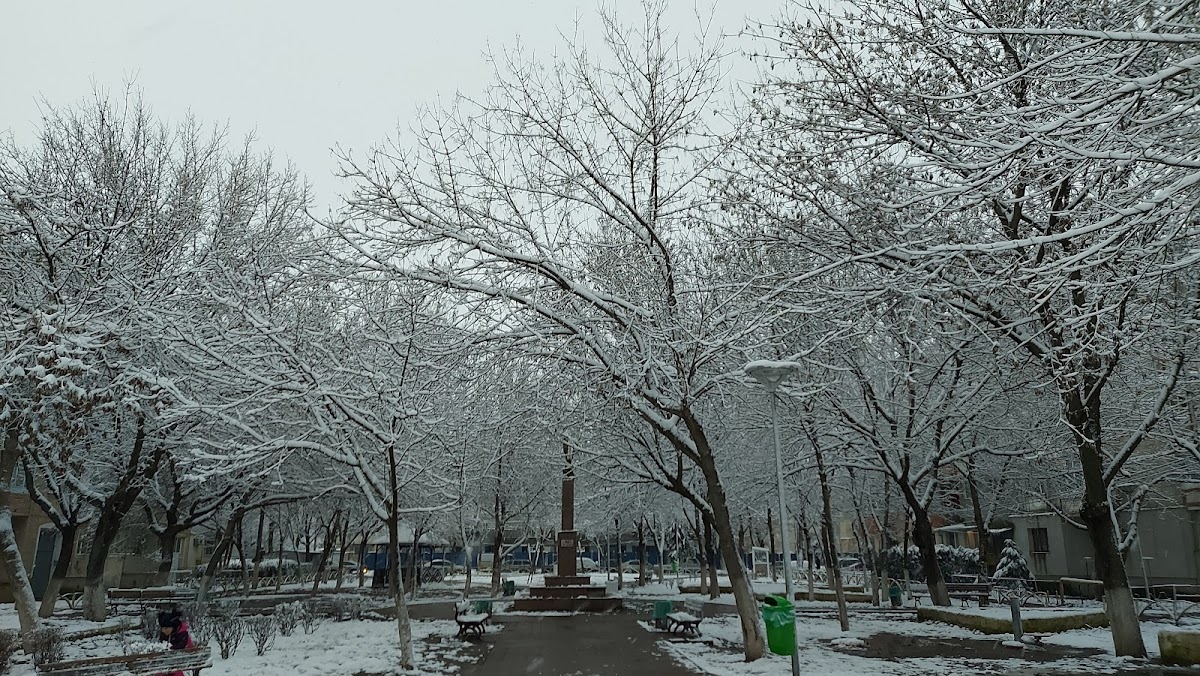 Năvodari Park - foto 3