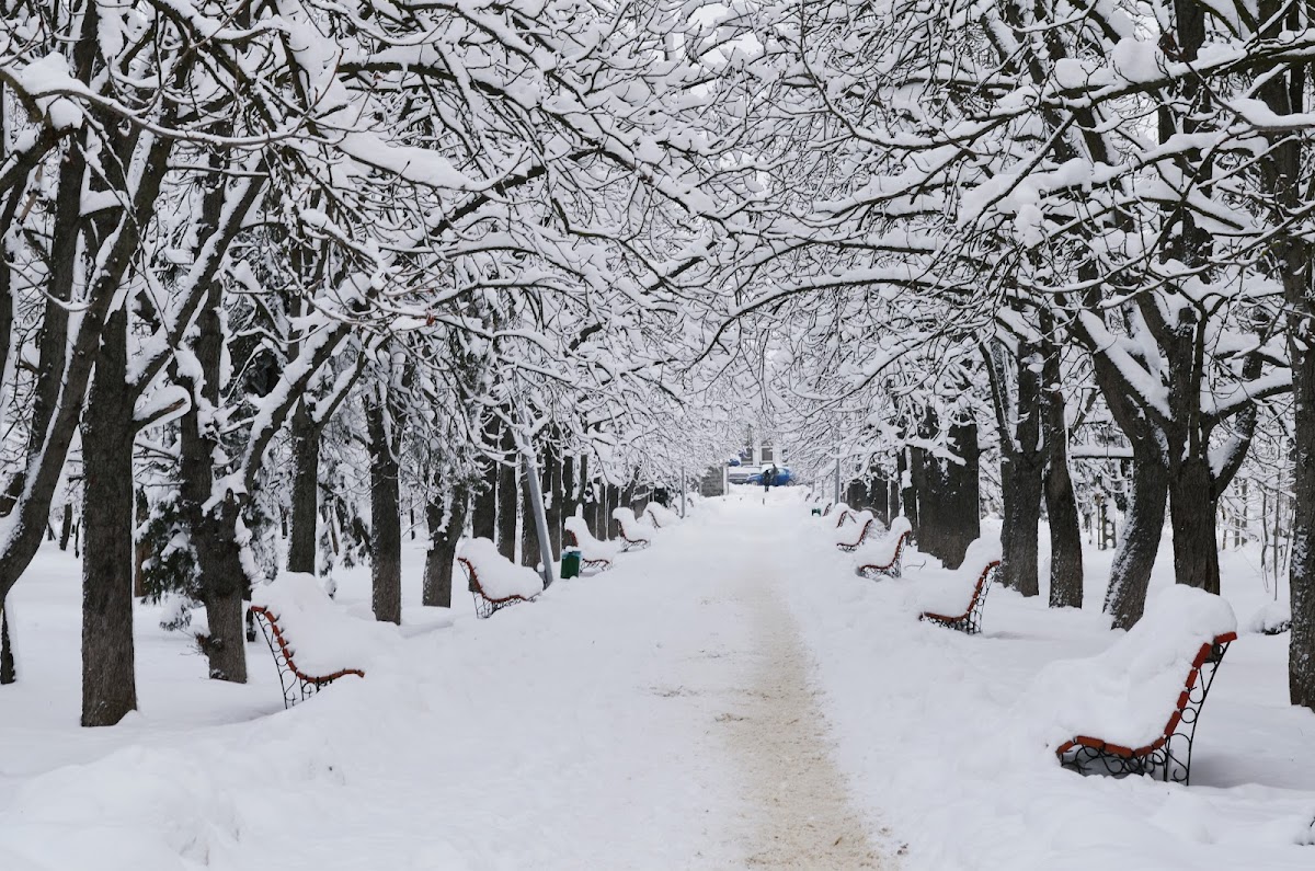 Nicolae Bălcescu Park - foto 4