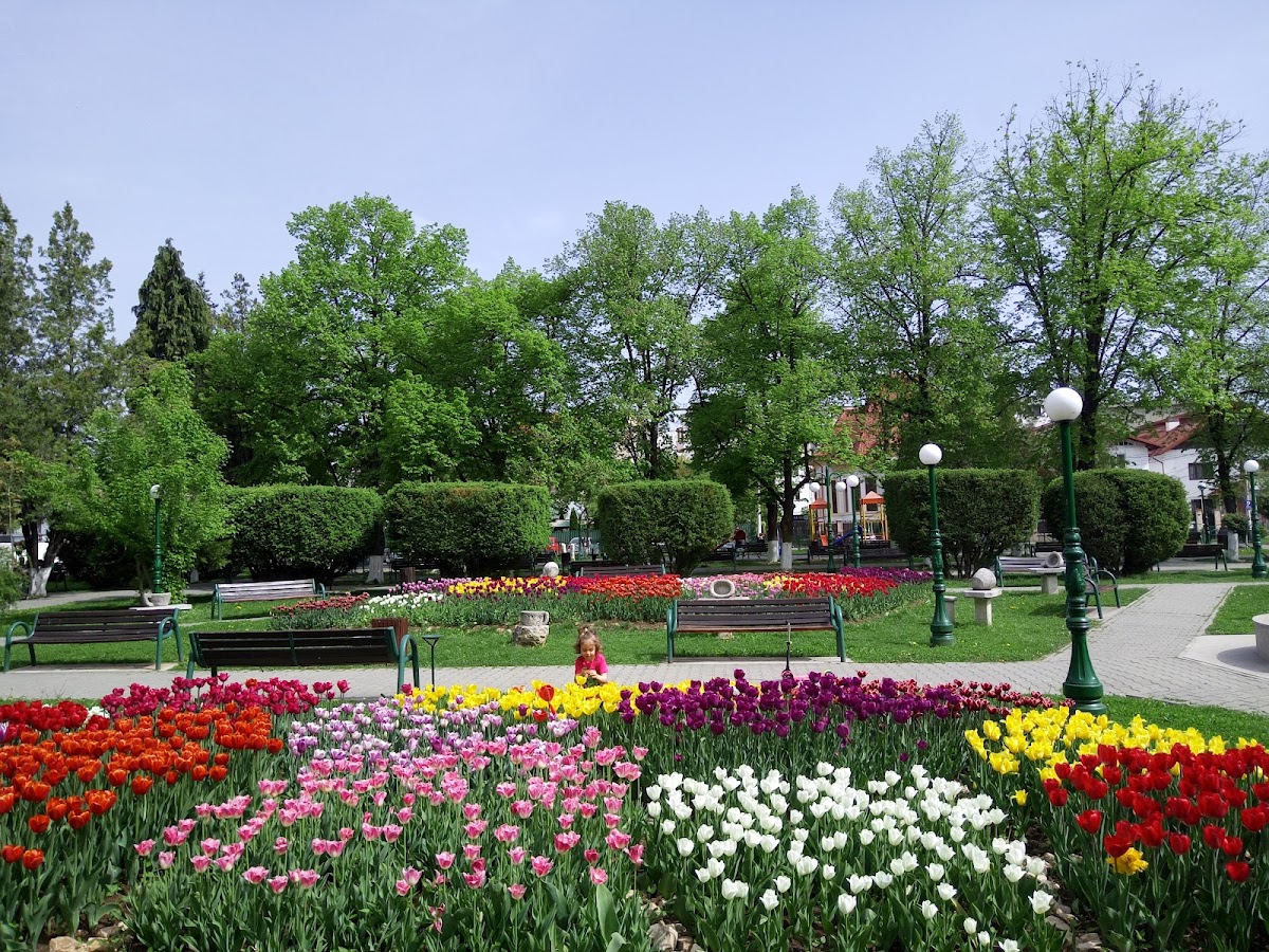 Parcul Nicolae Iorga - foto 1