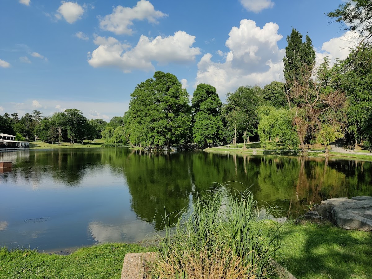 Parcul "Nicolae Romanescu" - foto 5