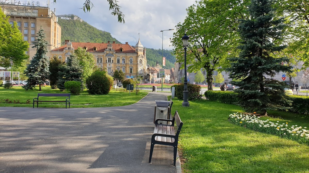 Parcul Nicolae Titulescu - foto 4