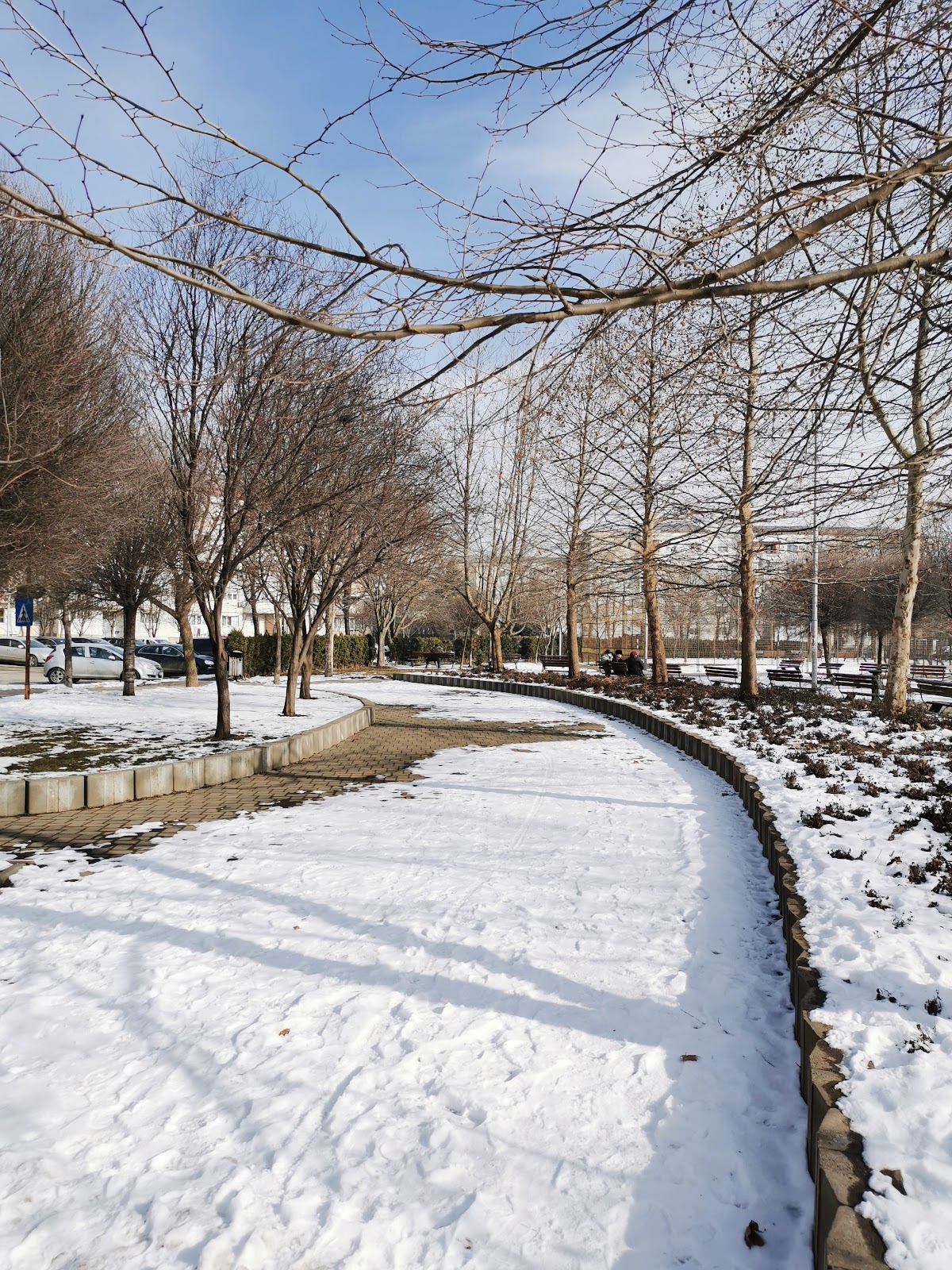 Parcul Nord