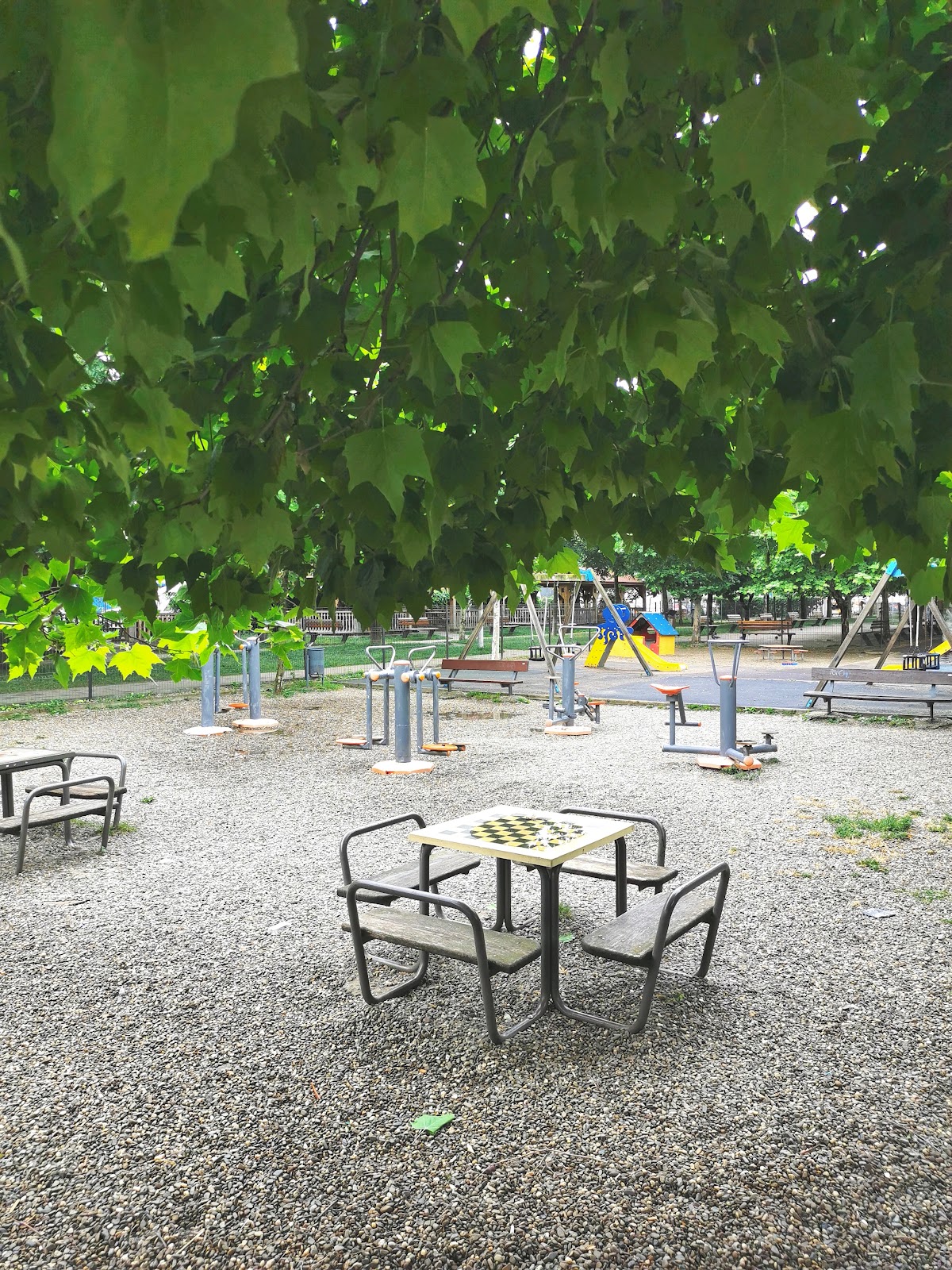 Parcul Nord - foto 4