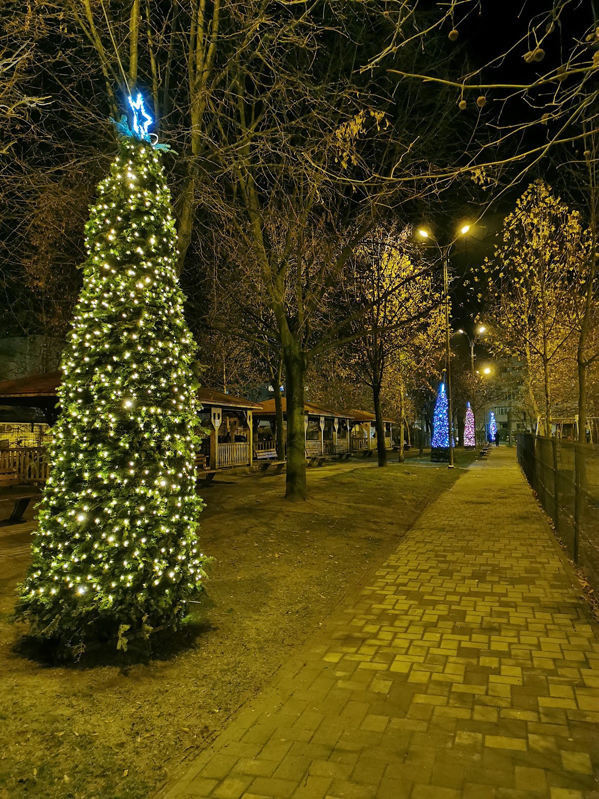 Parcul Nord - foto 5