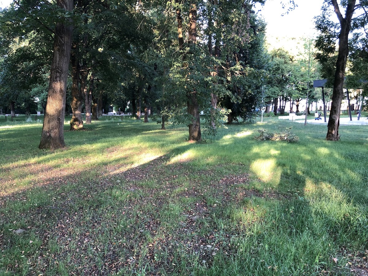 Parco dell'Obelisco - foto 5