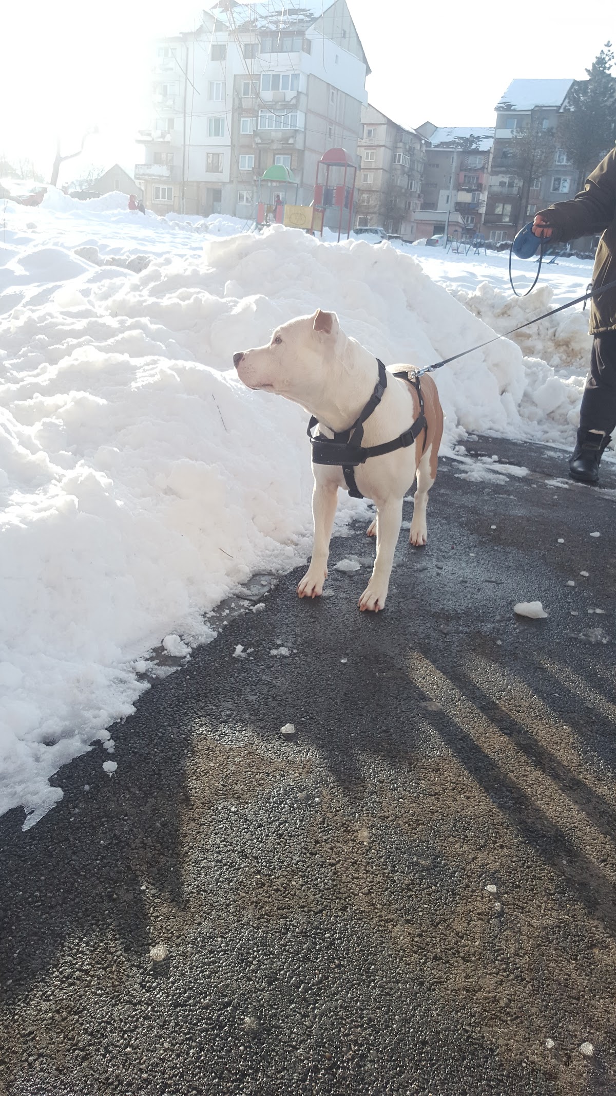 Parco Ottagono - foto 3