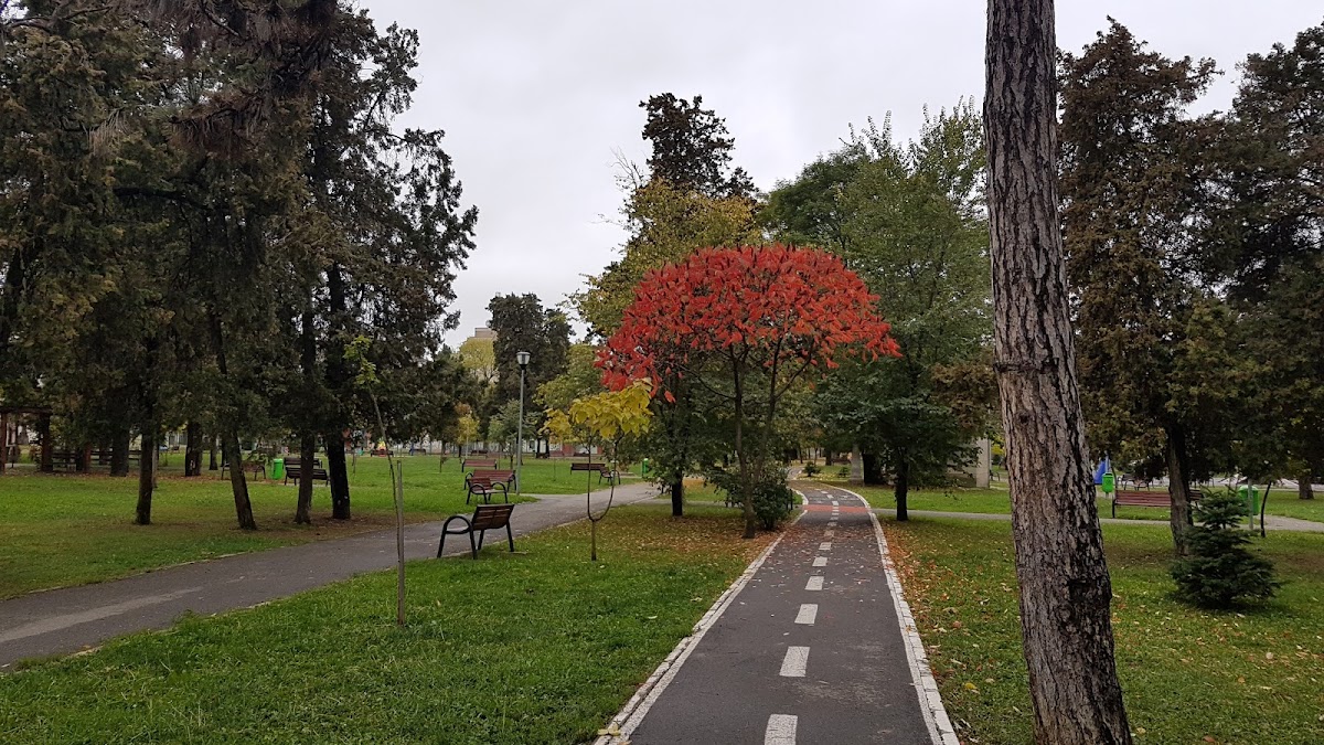 Parcul Olosig - foto 2