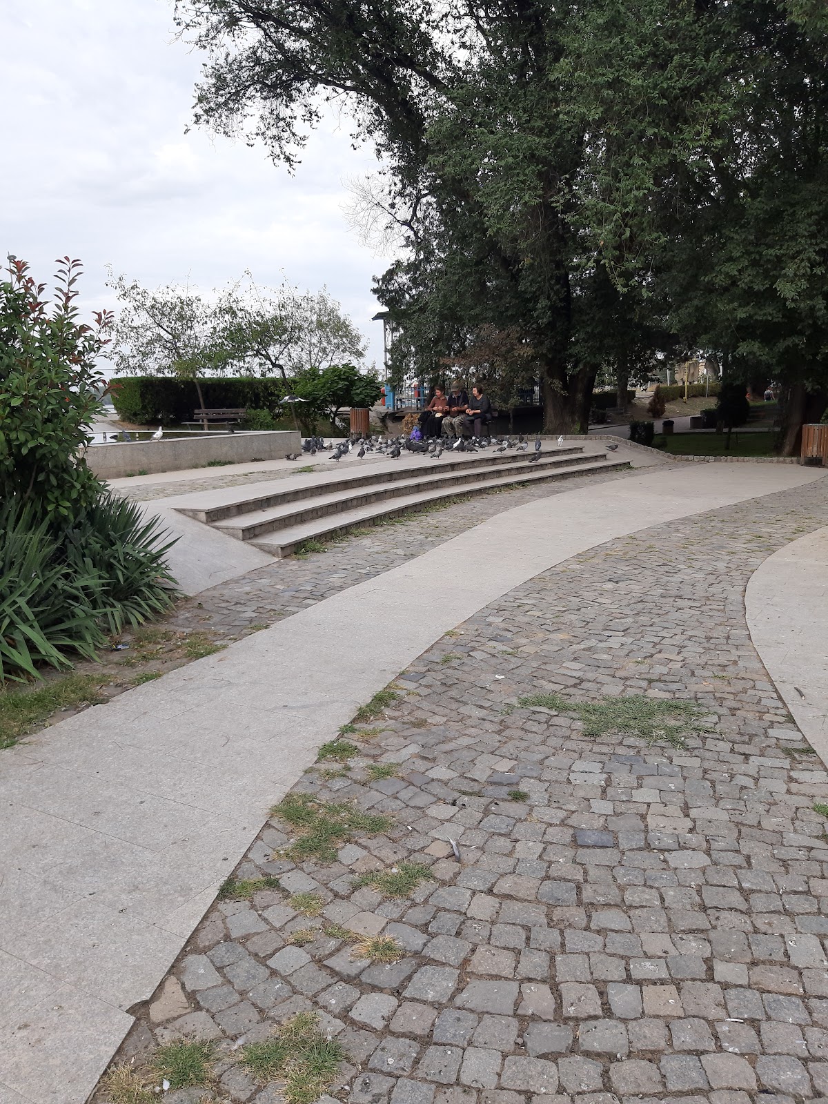 Parcul Orășenesc - foto 5