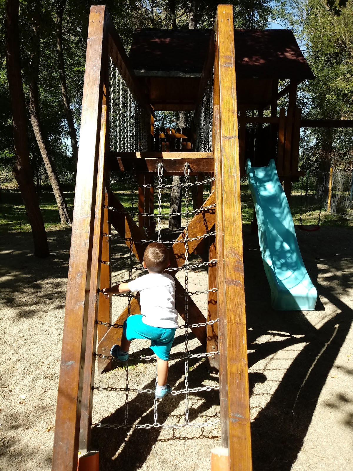 Balș Városi Park - foto 2