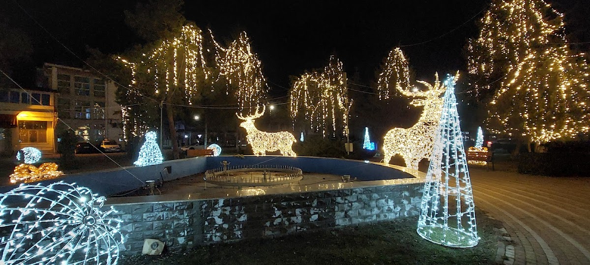 Balș Városi Park - foto 4