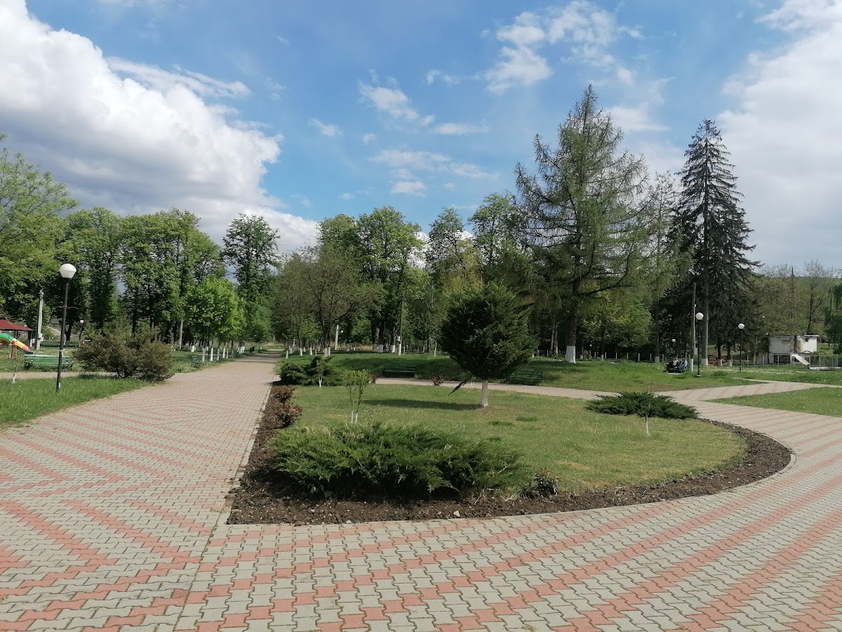 Parcul Orășenesc Măgura - foto 2