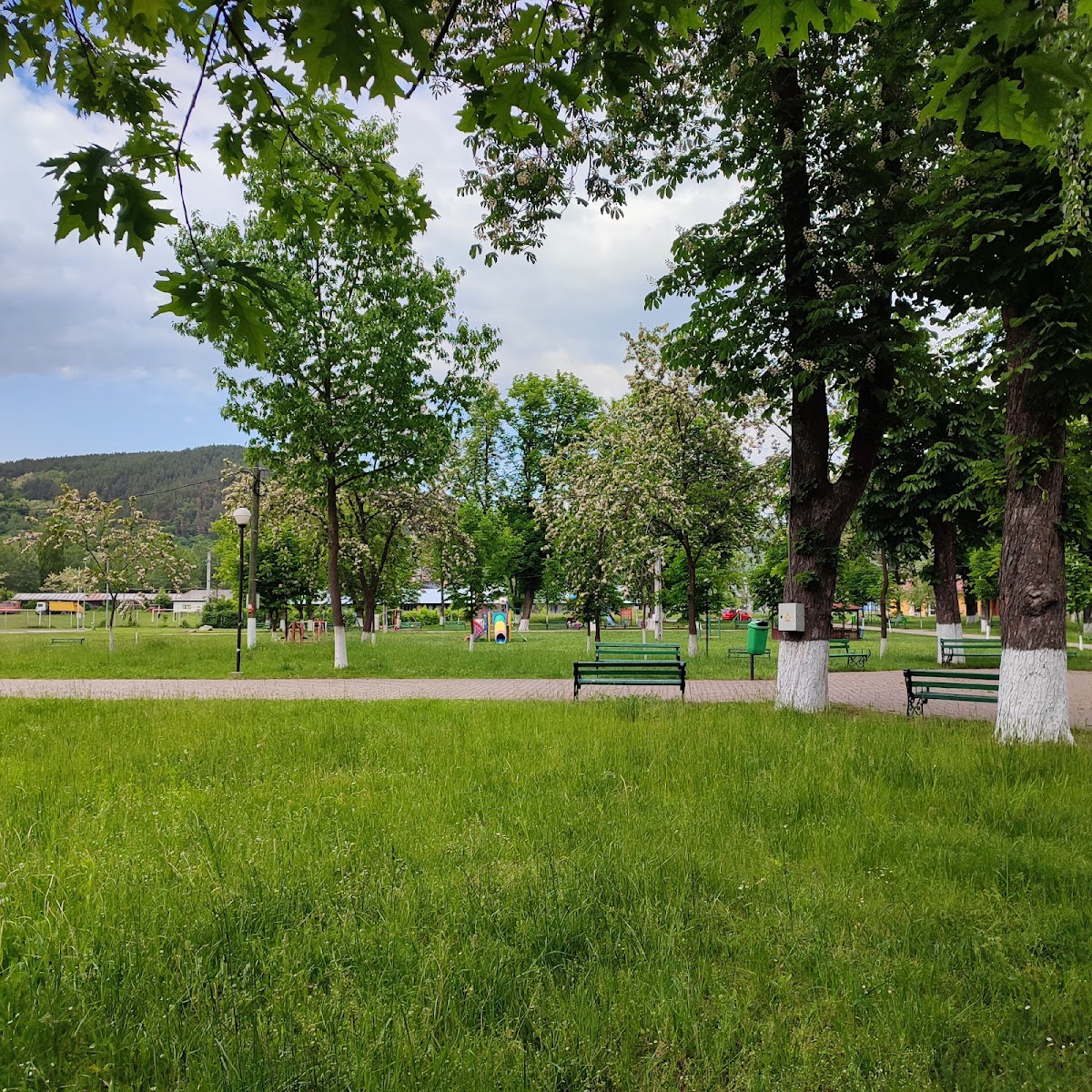 Parcul Orășenesc Măgura - foto 5
