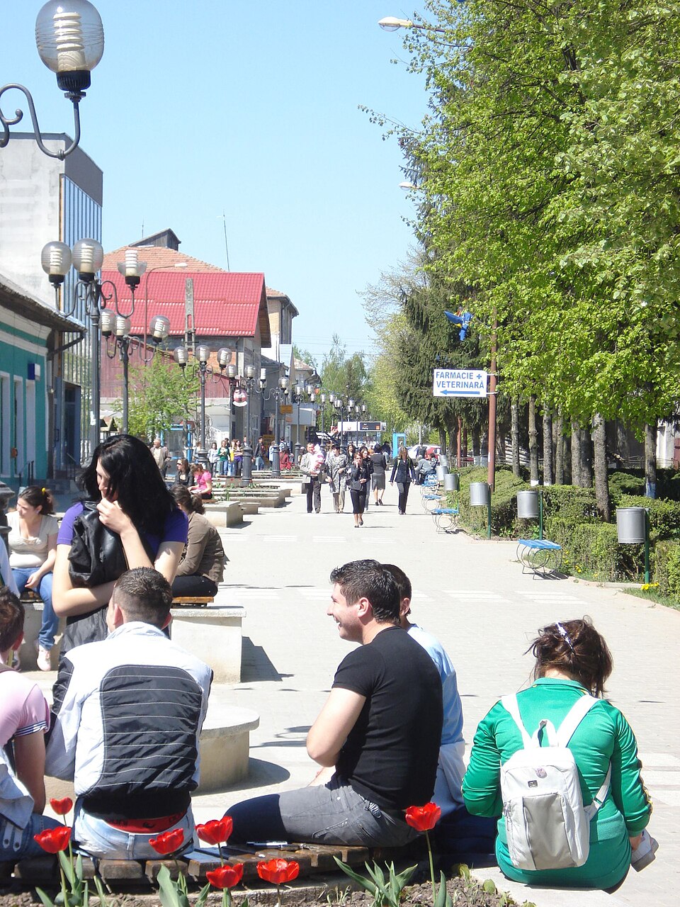 Parcul orasului Darabani