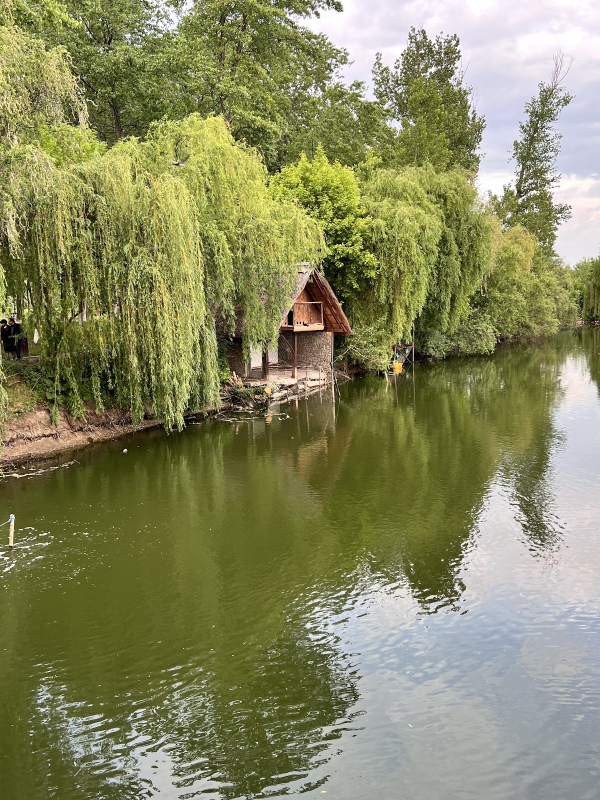 Parco "Pădurea Vedea" - foto 4