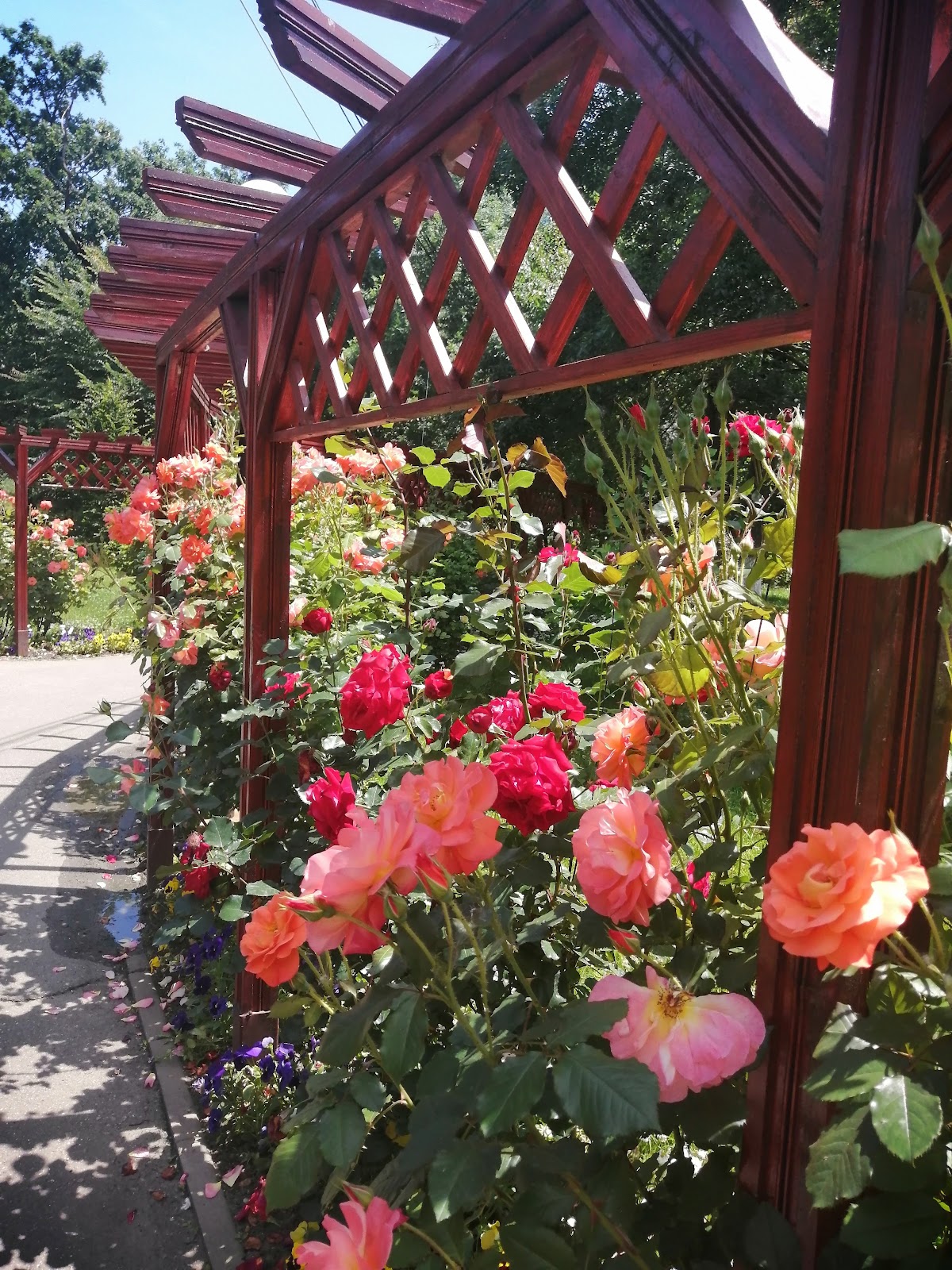 Parco "Pădurea Vedea" - foto 5