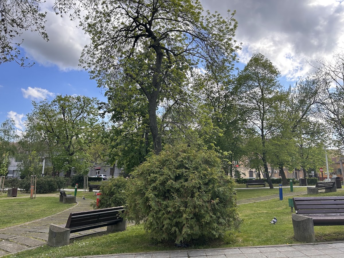 Parcul Pădurice - foto 5