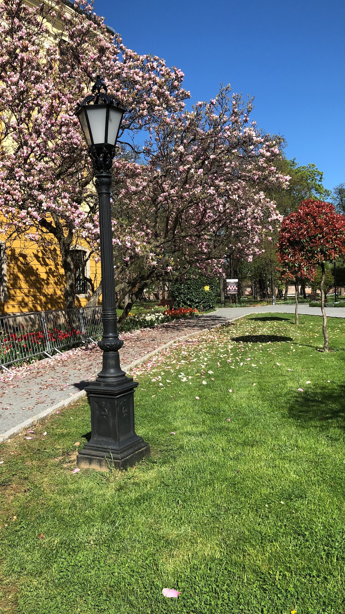 Parcul Palatului Episcopal - foto 4