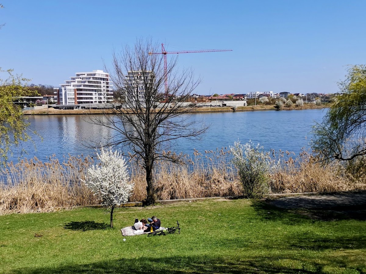 Pantelimon Park - foto 4