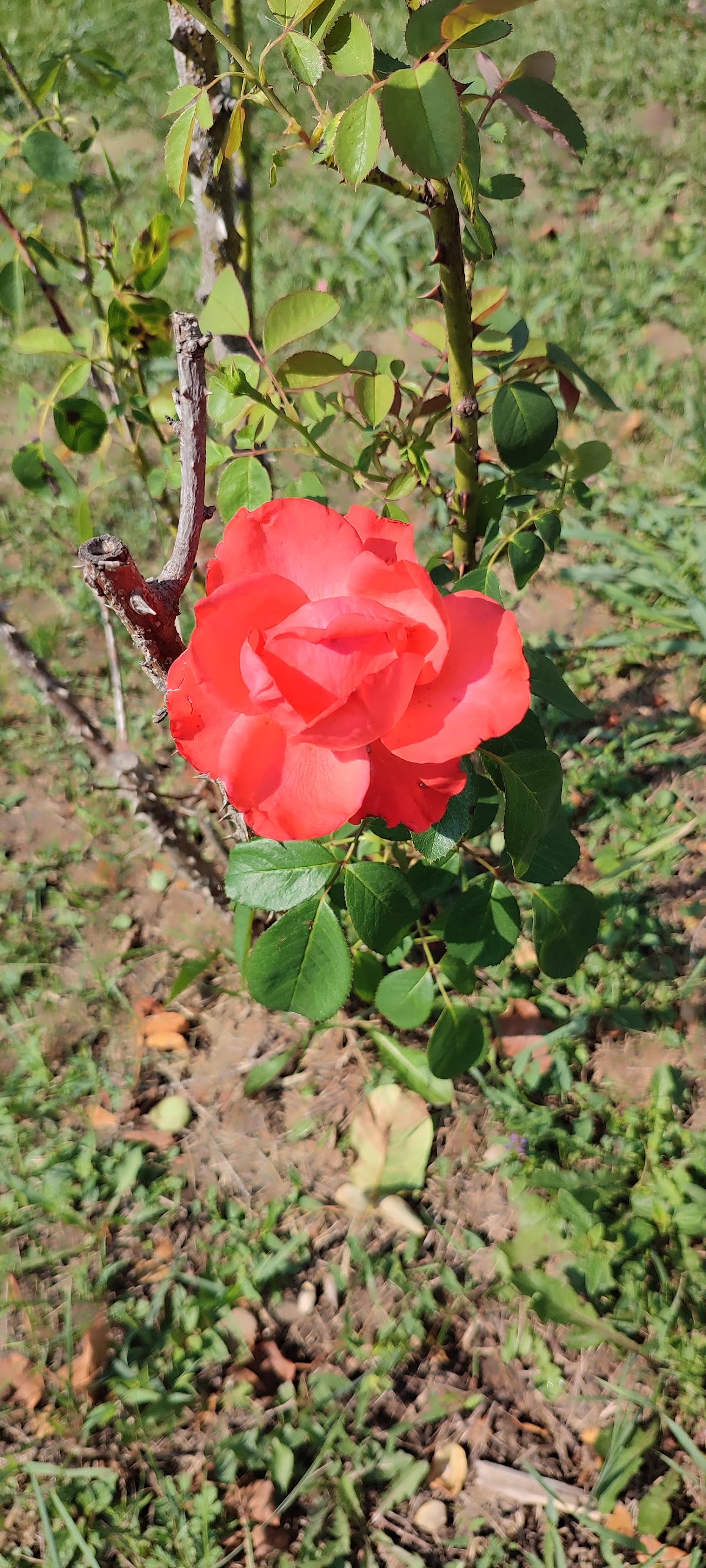 Periș Park - foto 4