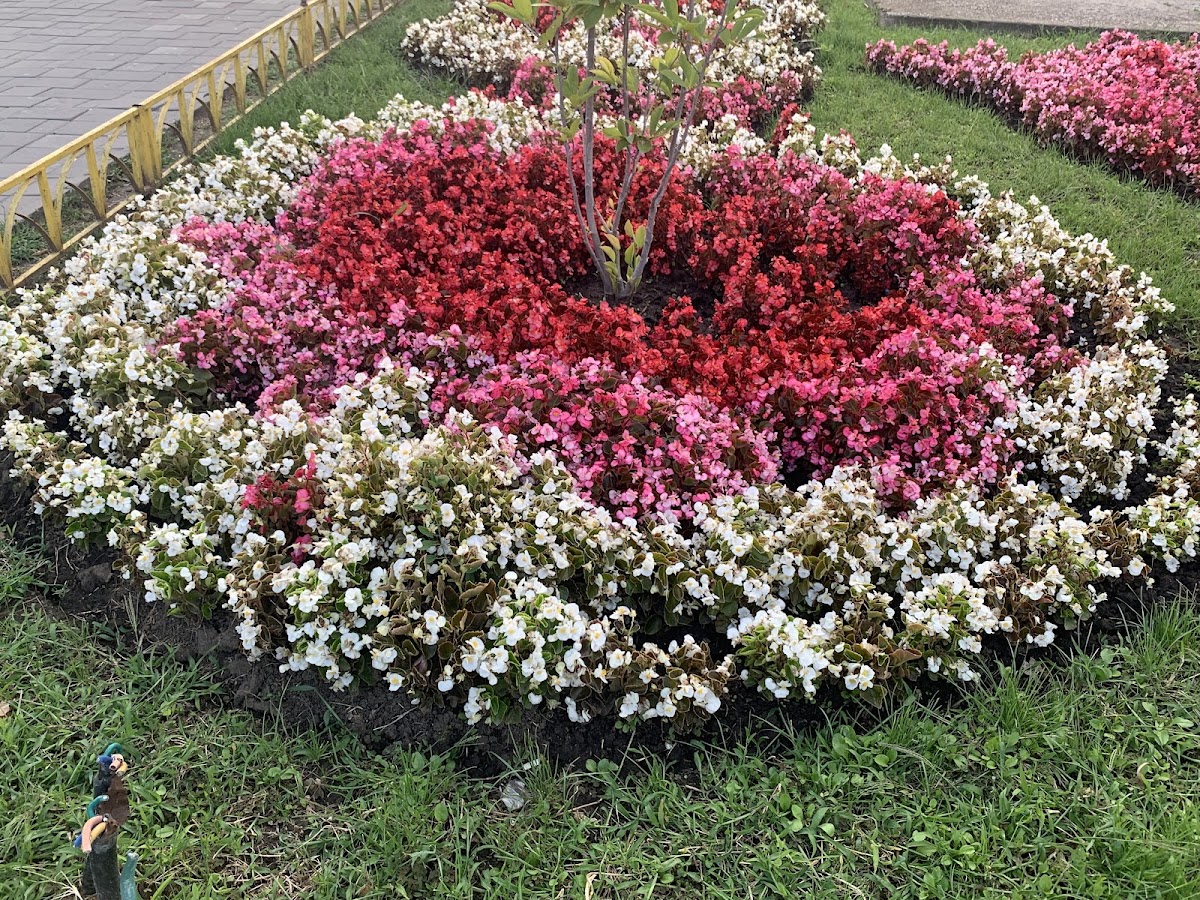 Parcul Personalităților - foto 5