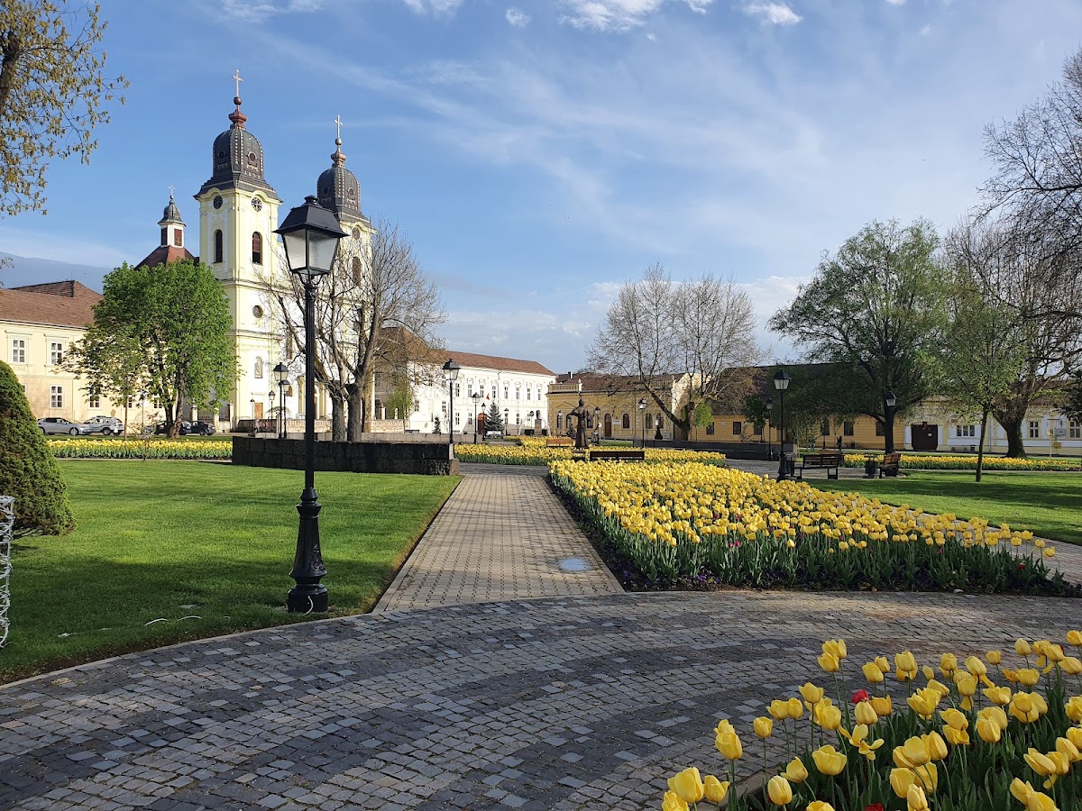 Parcul Piața 1848 - foto 2