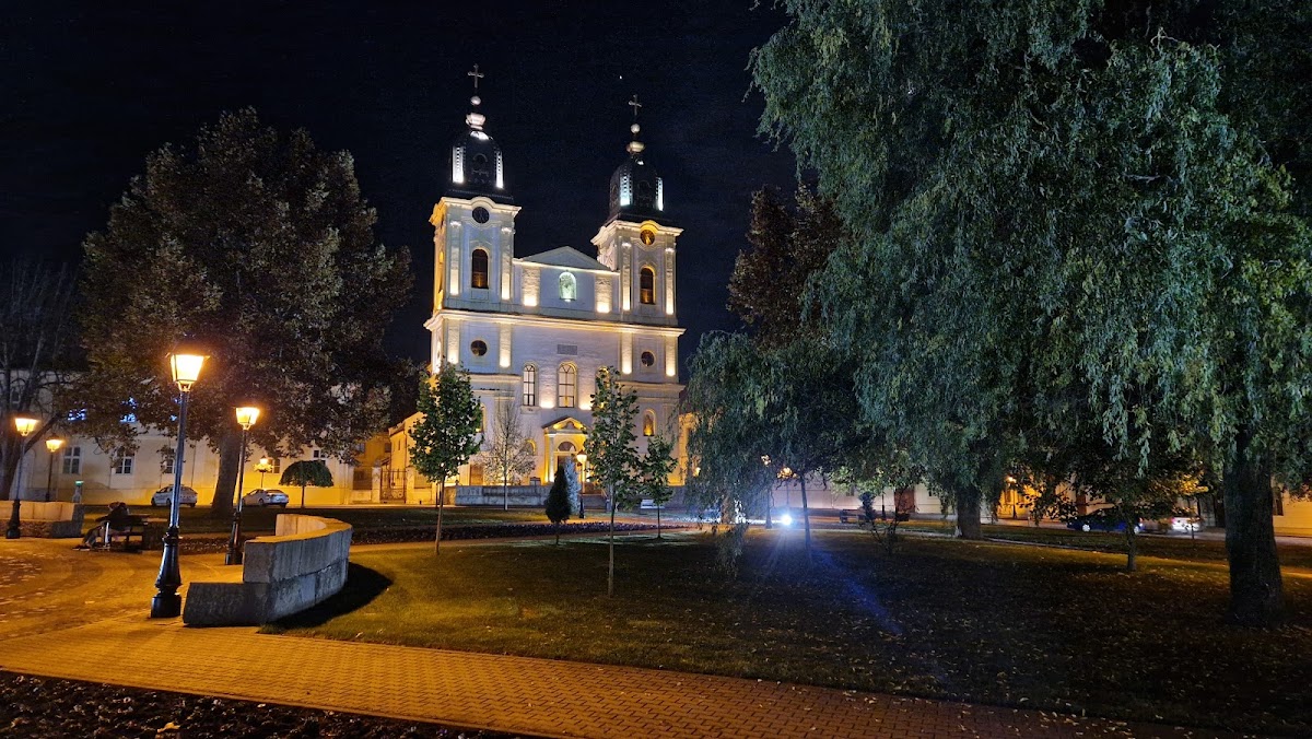 Parcul Piața 1848 - foto 5