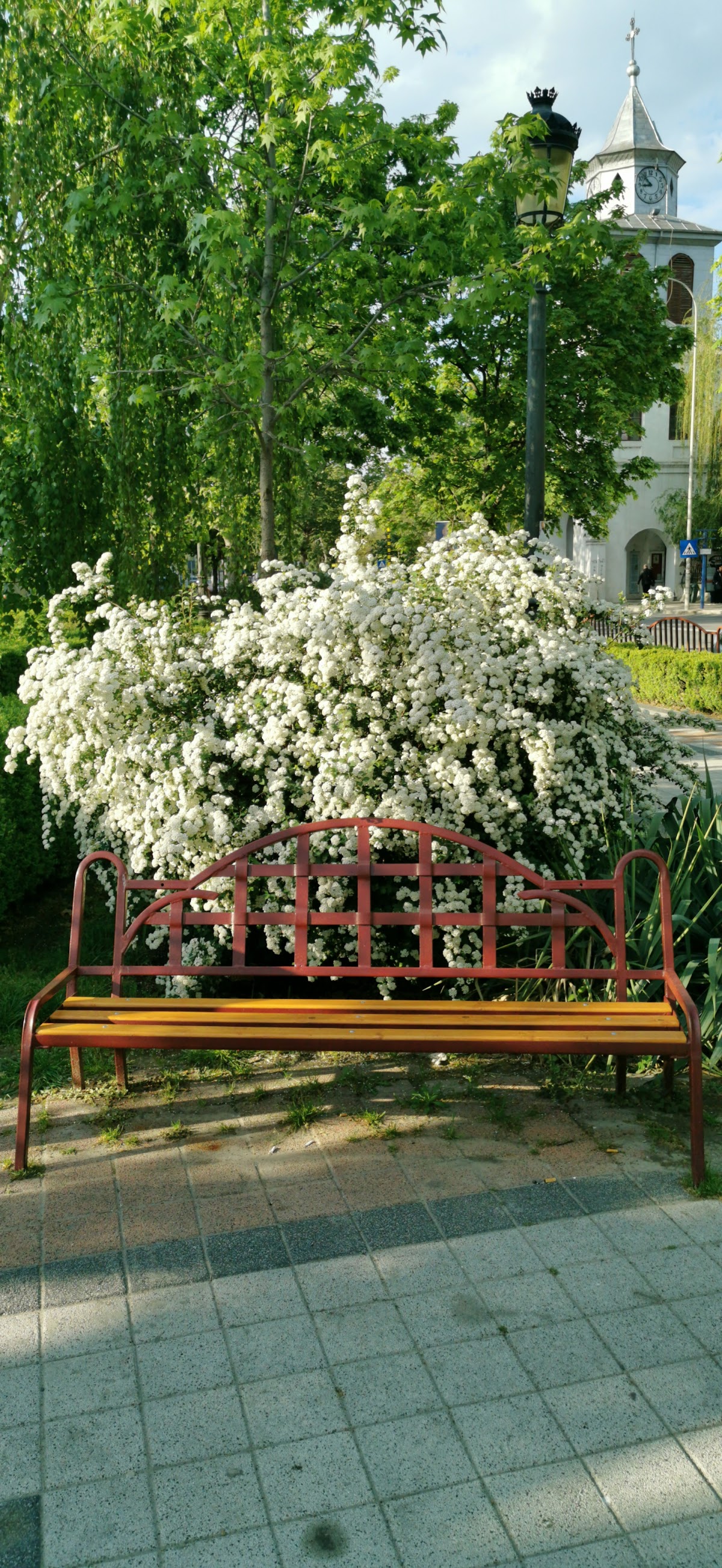 Parcul "Piața Nouă" - foto 4