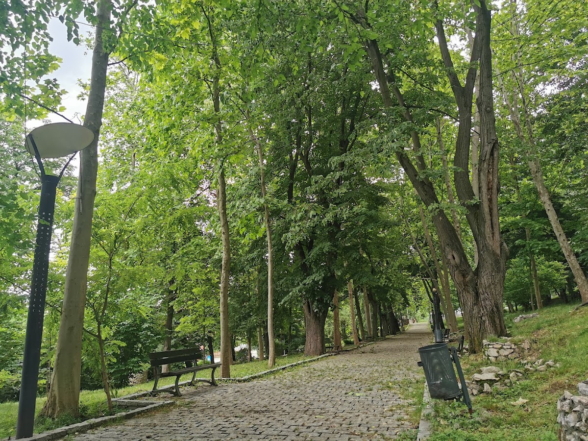 Parque Pitești en Slatina - foto 1